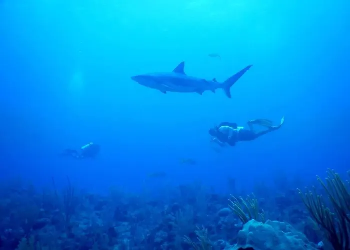 Del Mar San Pedro (Ambergris Caye)