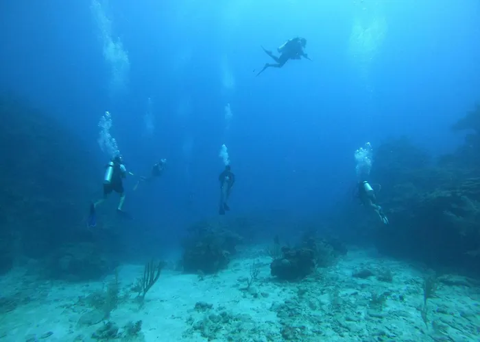 Hotel Del Mar San Pedro (Ambergris Caye)