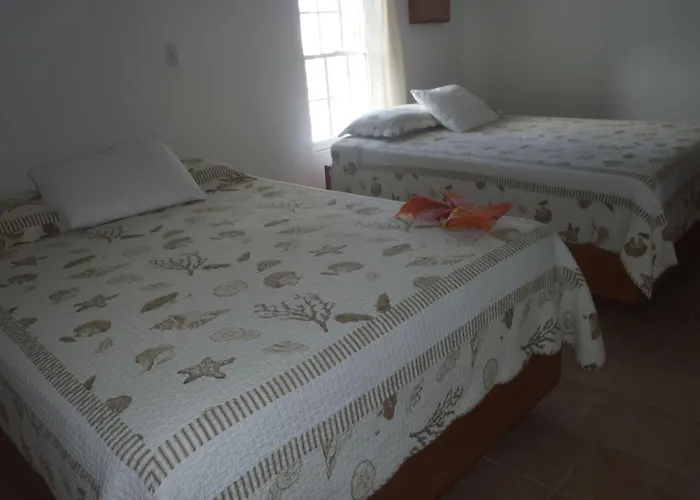 Del Mar 3* San Pedro (Ambergris Caye)