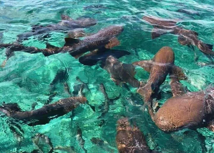 Del Mar 3* San Pedro (Ambergris Caye)